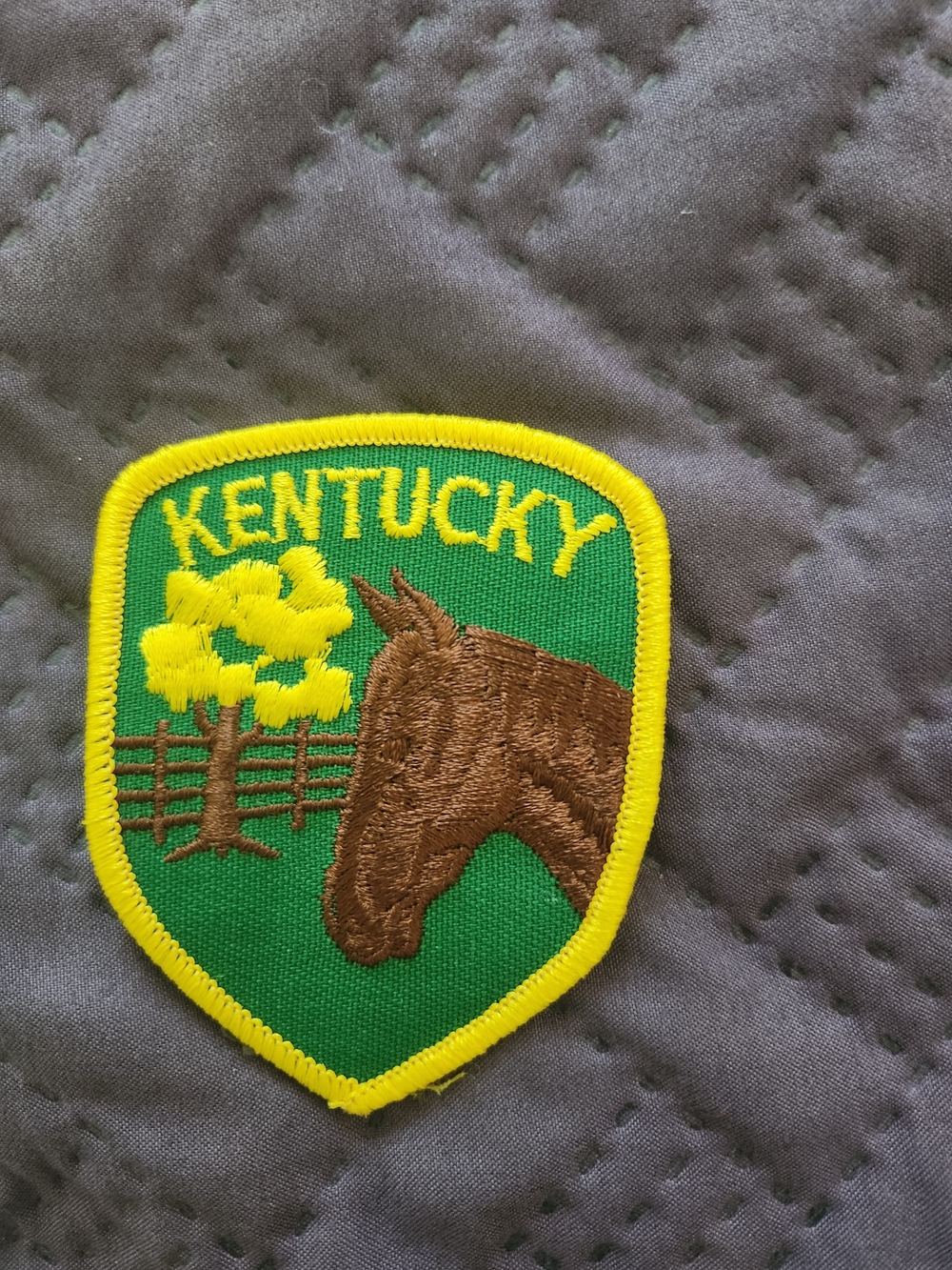 Kentucky Horse Embroidered Patch - Green & Yellow
